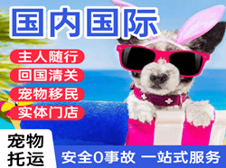 呼伦贝尔航空快递国际宠物托运 【国